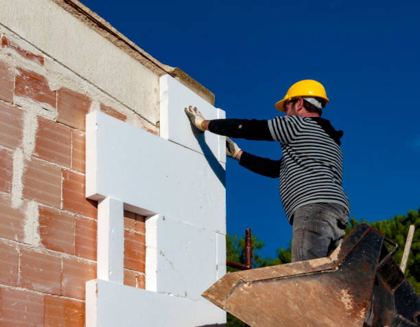 Best Commercial Insulation in Schulenburg, TX