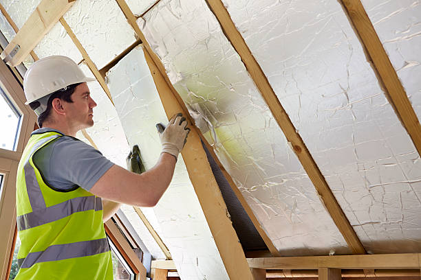 Best Commercial Insulation in Schulenburg, TX